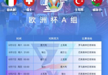 欧洲杯正赛参赛球队数量