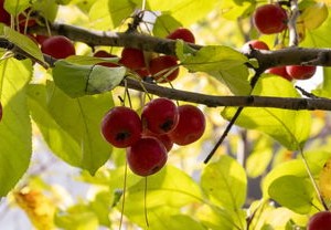 北京疫情新动态，新增病例轨迹全解析