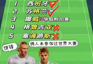 欧洲杯的预选赛怎么打比赛