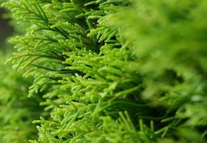 湖北荆州，疫情最新动态与防控措施
