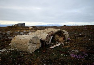 圣何塞地震vs华盛顿联，当大地震遇上政治心脏