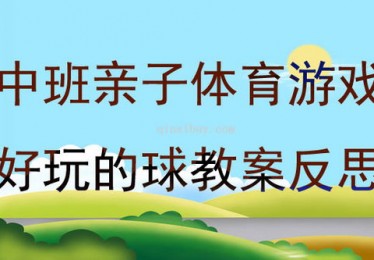 中班体育抛接球教案及反思