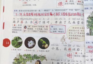 最后一堂口才课《大写的中国》??谢谢您,我的佳佳老师??