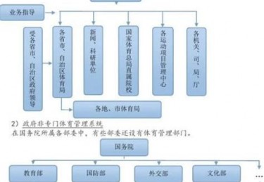 体育工作内容