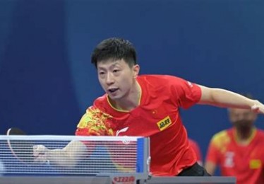世乒赛2021德国参赛人员