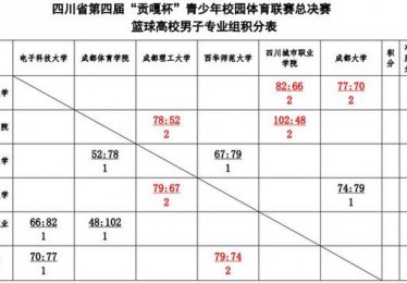四川省体育学院高考录取分数线