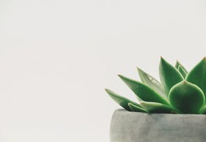 新疆疫情新动态，理解本土病例增加对日常生活的影响及应对策略