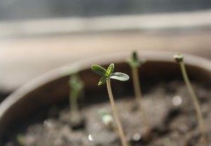 全国疫情数据最新动态，深入解析与应对策略
