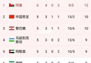 中国足球的欧洲杯梦想现状、挑战与未来展望