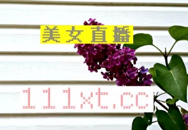 标题直播在线观看的崛起改变了人们的娱乐方式