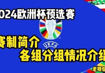 欧洲杯预选赛情况怎么样啊