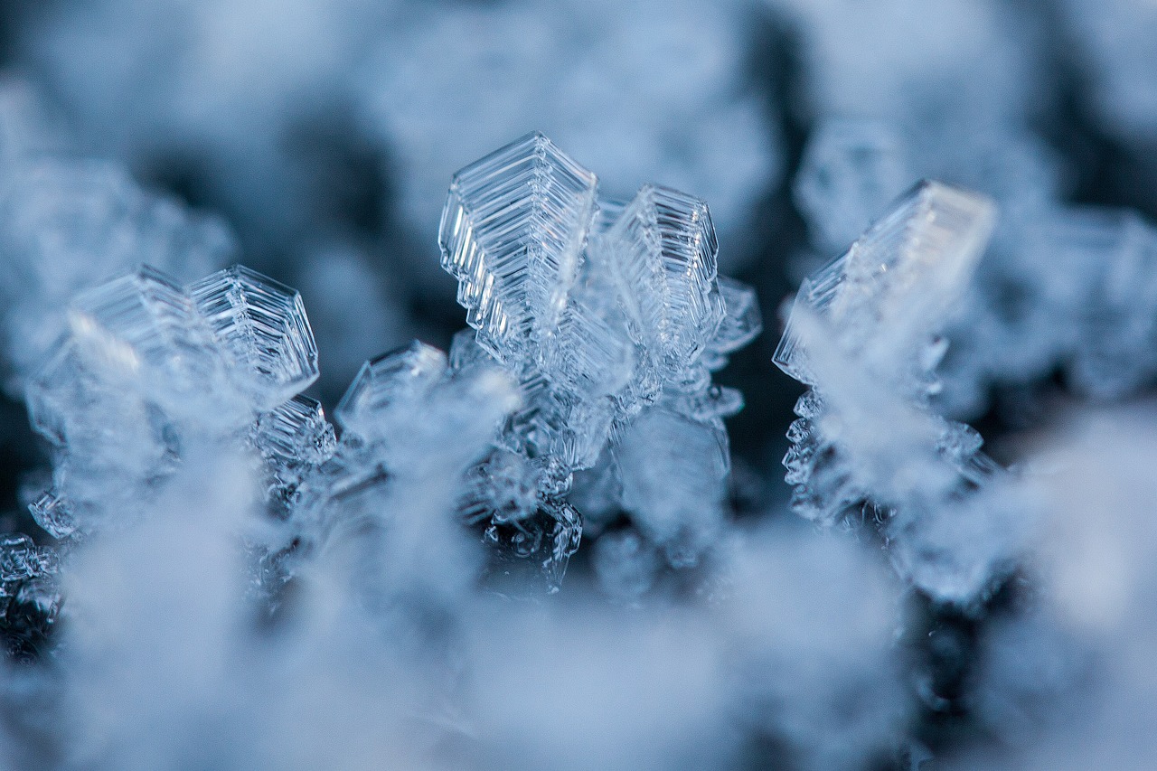 新疆八月下暴雪，气候异常下的独特风景与挑战