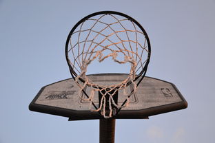 NBA重播网，重塑篮球记忆的时光隧道