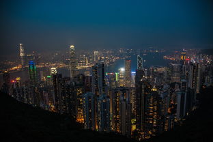 香港特区政府总部遭泼漆事件，维护法治与公共秩序的坚定立场