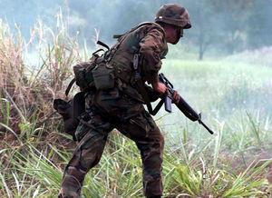 泽连斯基，已有4.3万乌克兰士兵阵亡——战争背后的沉重与反思