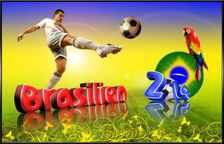 2014世界杯冠军