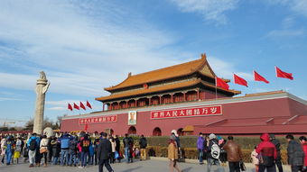 女排比赛