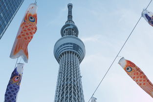 西安地铁里的水族馆，一次跨越文化的视觉盛宴