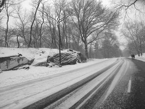 石家庄的大雪，一场冬日的视觉盛宴与生活的微妙变化