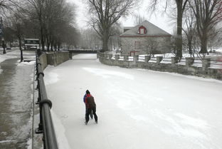 山东等地暴雪，自然现象的解读与应对策略