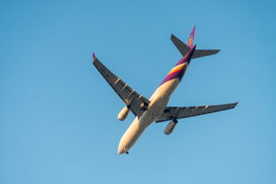 空中警报，成都飞机11人感染事件的启示与防护指南