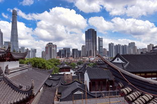 上海新冠疫情，挑战与应对，城市的韧性与未来
