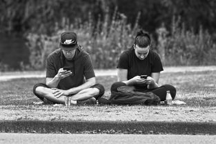 掌握最新动态，如何查询和管理中风险地区信息