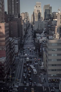 疫情风暴中的热点，全球疫情最严重的几个城市