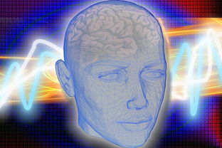 武汉新增确诊病例轨迹分析，疫情防控的科学应对与公众健康意识提升