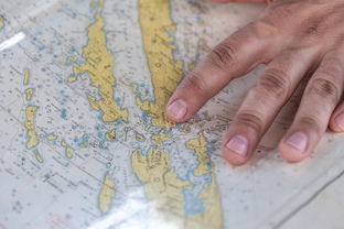 抗击疫情的地图，全国各城市感染进度的实时追踪