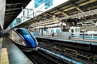 2022年12月最新限号政策解析，如何轻松应对城市交通管制