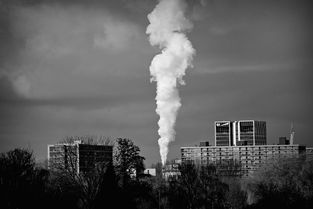 河北辛集市疫情，严峻形势下的挑战与应对