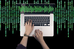 深入解析，河北疫情的境外输入病毒及其防控策略