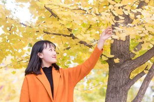 沈阳疫情新动态，学生群体的新增本土确诊病例