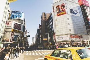 大连疫情新动态，了解辽宁新增8例本土病例的关键信息