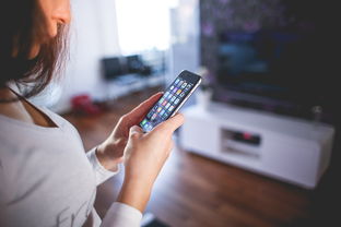 探索奇异果TV，手机版下载指南与使用体验