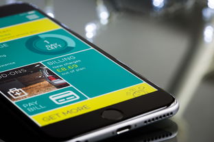 斗球App，苹果用户的足球盛宴，官网入口全解析