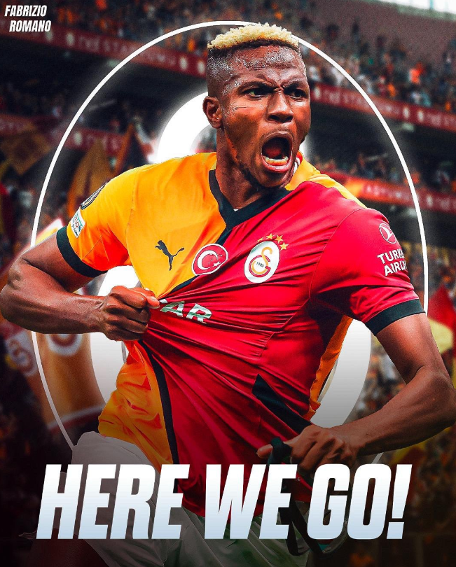 Here we go！拉扯许久 非洲锋霸终于下树！